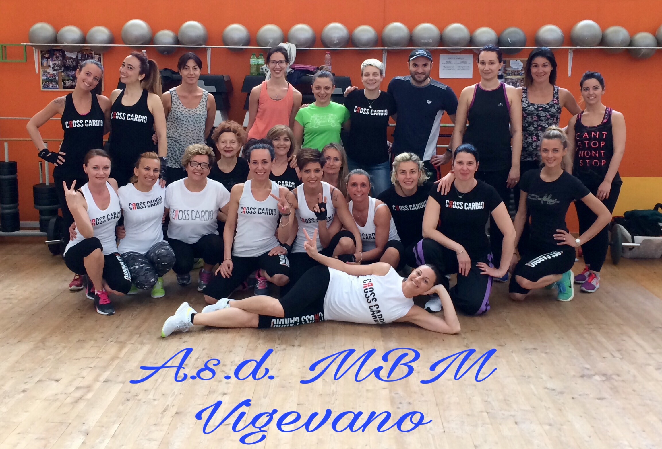 Vigevano
